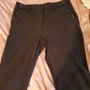 Women dress pants
